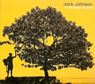 Jack Johnson - In Between Dreams - CD