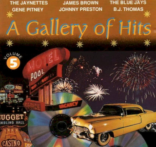 Various - A Gallery Of Hits Volume 5 - CD