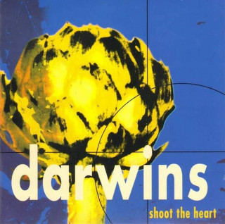 Darwins - Shoot The Heart - CD