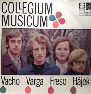 Collegium Musicum - Collegium Musicum - LP / vinyl